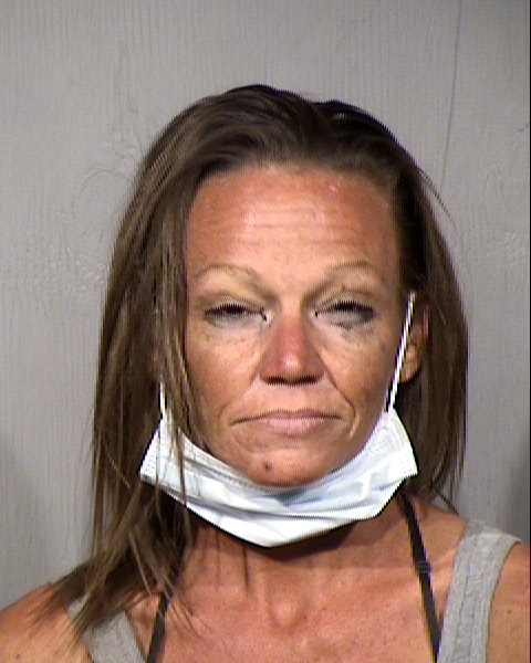 Dana Lee Hill Mugshot / Maricopa County Arrests / Maricopa County Arizona