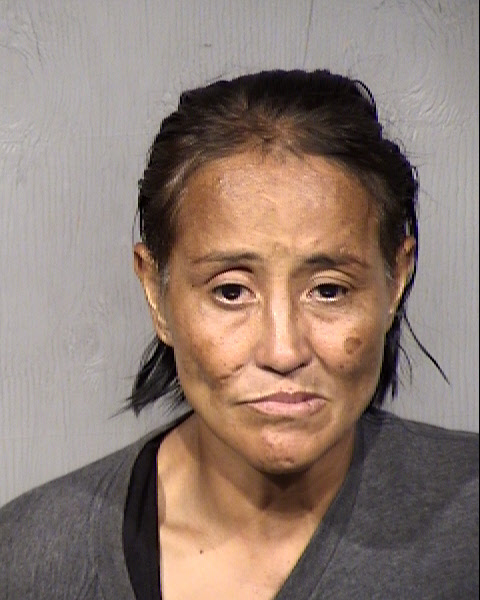 Claudia Cecilia Leyva Mugshot / Maricopa County Arrests / Maricopa County Arizona