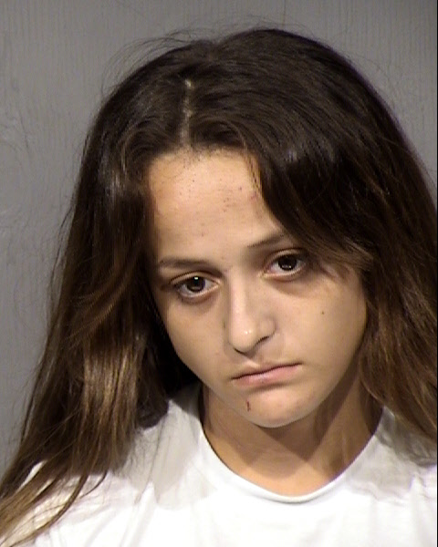 Leslie Lee Mcdonald Mugshot / Maricopa County Arrests / Maricopa County Arizona