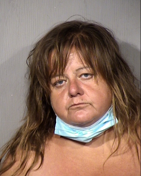 Teri Lynn Hill Mugshot / Maricopa County Arrests / Maricopa County Arizona