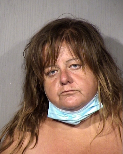Teri Lynn Hill Mugshot / Maricopa County Arrests / Maricopa County Arizona Arrests Teri Lynn Hill Mugshot / Maricopa County Arrests / Maricopa County Arizona