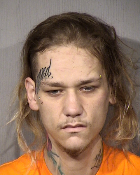 Brian John Ricedorf Mugshot / Maricopa County Arrests / Maricopa County Arizona