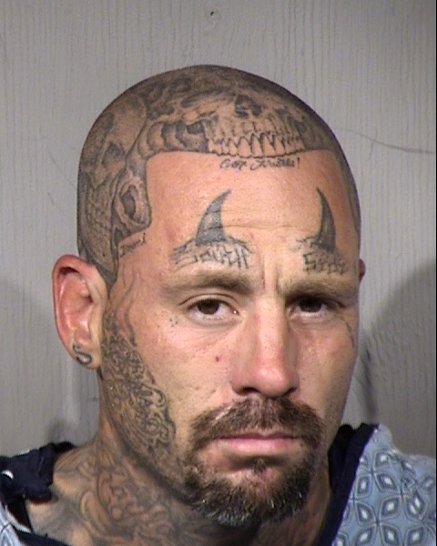 Steven M Harrier Mugshot / Maricopa County Arrests / Maricopa County Arizona