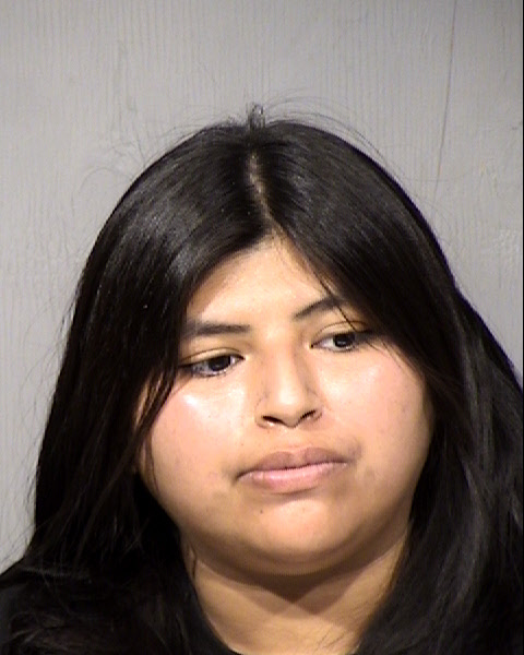 Christine Rosa Stacey Mugshot / Maricopa County Arrests / Maricopa County Arizona