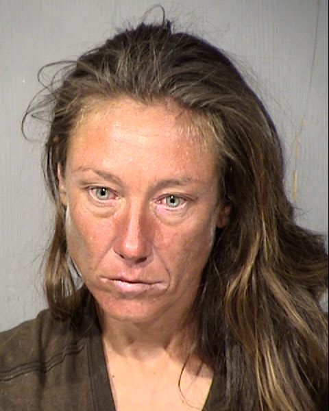 Karen Elizabeth Manz Mugshot / Maricopa County Arrests / Maricopa County Arizona