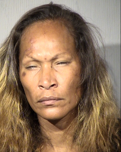 Larita Marie Haynes Mugshot / Maricopa County Arrests / Maricopa County Arizona