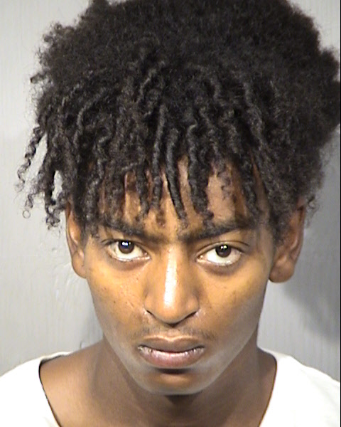 Meron A Woldu Mugshot / Maricopa County Arrests / Maricopa County Arizona