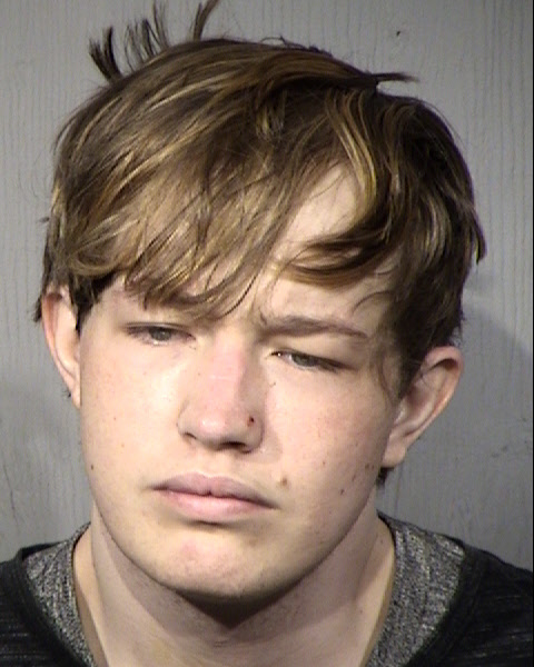 Dudley Alexander Delakowitz Mugshot / Maricopa County Arrests / Maricopa County Arizona