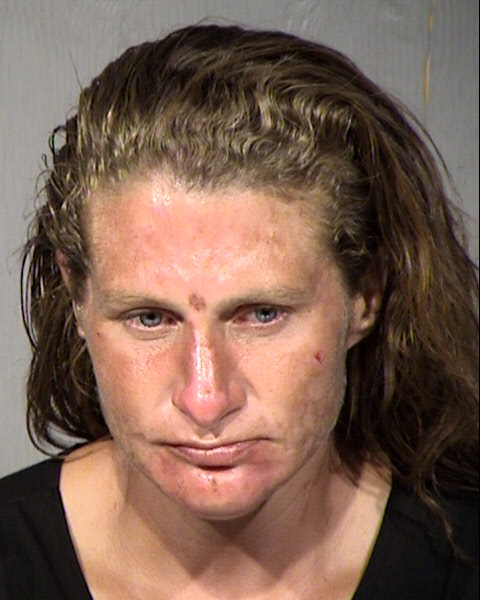 Heidi Carlson Mugshot / Maricopa County Arrests / Maricopa County Arizona