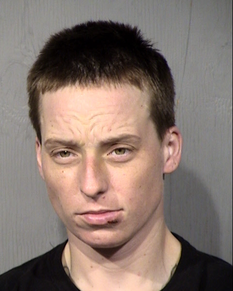 Danielle M Hanney Mugshot / Maricopa County Arrests / Maricopa County Arizona