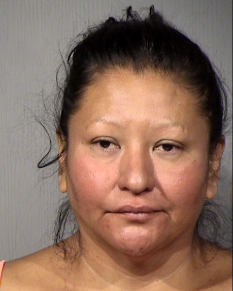 Shellie Dawn Whiting Mugshot / Maricopa County Arrests / Maricopa County Arizona