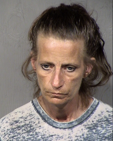 Cindy L Watson Mugshot / Maricopa County Arrests / Maricopa County Arizona