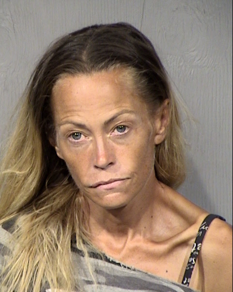 Suzanne Brown Hammitt Mugshot / Maricopa County Arrests / Maricopa County Arizona