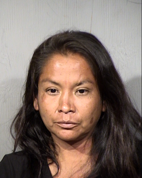 Mona Marie Touchine Mugshot / Maricopa County Arrests / Maricopa County Arizona