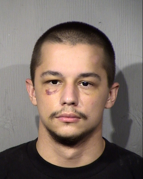 Dennis Dmitrievich Shvetsov Mugshot / Maricopa County Arrests / Maricopa County Arizona