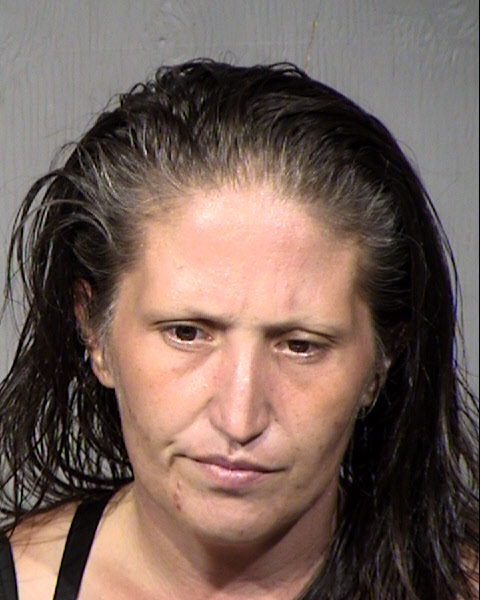 Anna Maria Epifano Mugshot / Maricopa County Arrests / Maricopa County Arizona