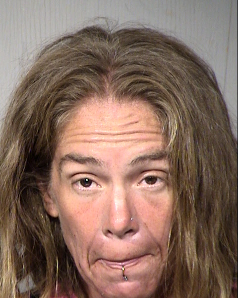 Daina Sue Solomon Mugshot / Maricopa County Arrests / Maricopa County Arizona