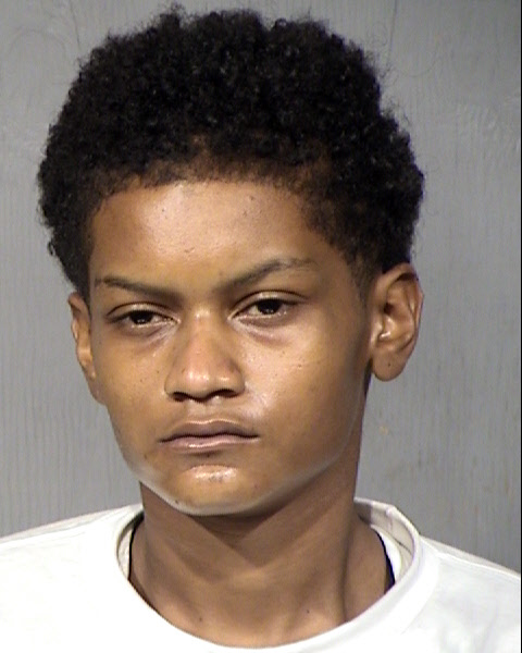 Stevie Gina Rebekah Johnson Mugshot / Maricopa County Arrests / Maricopa County Arizona