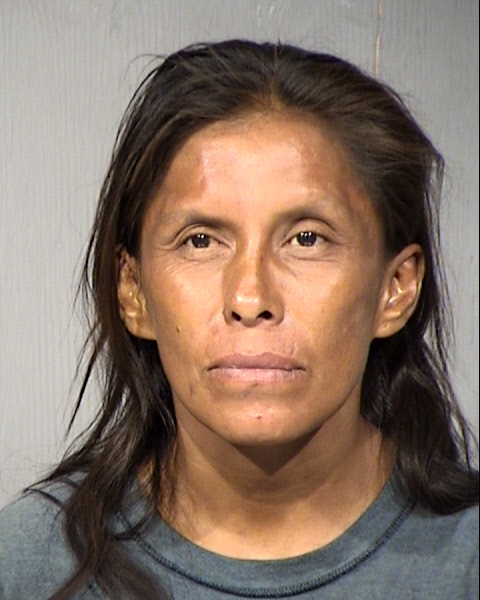 Sylvia Tso Begay Mugshot / Maricopa County Arrests / Maricopa County Arizona