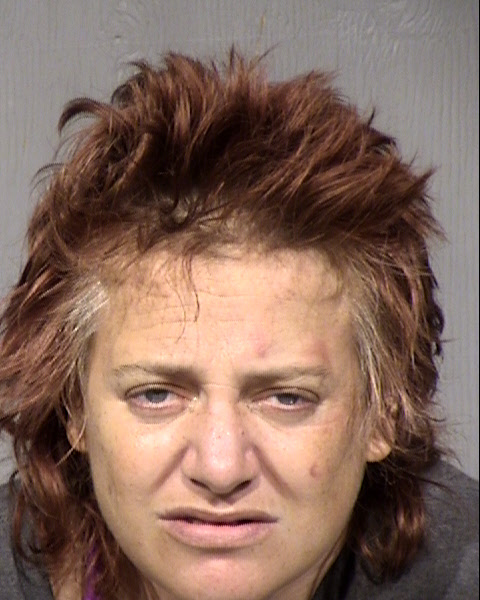 Jenny Lynn Habib Mugshot / Maricopa County Arrests / Maricopa County Arizona
