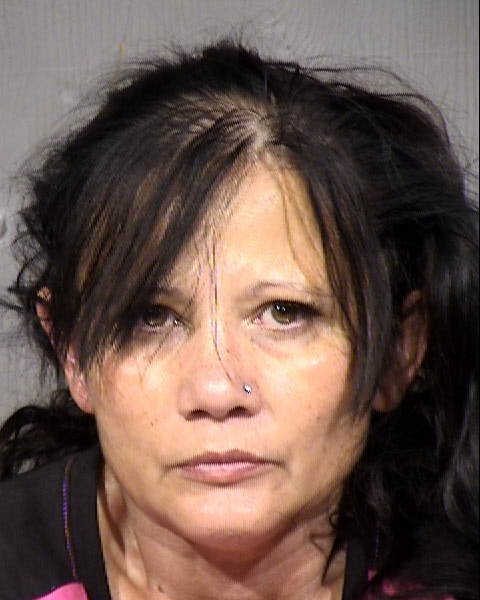 Karen Ann Zdunich Mugshot / Maricopa County Arrests / Maricopa County Arizona