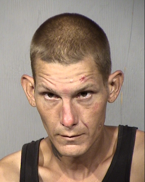 Anthony Michael Ginnetti Mugshot / Maricopa County Arrests / Maricopa County Arizona