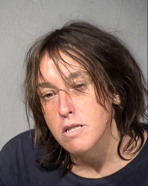 Dawn Renee Thies Mugshot / Maricopa County Arrests / Maricopa County Arizona