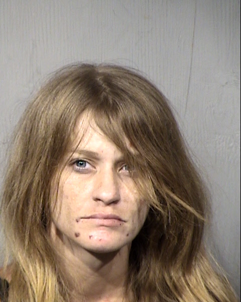 Cynthia Lynn Norwood Mugshot / Maricopa County Arrests / Maricopa County Arizona