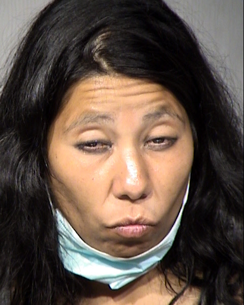 Cynthia C Salcido Mugshot / Maricopa County Arrests / Maricopa County Arizona
