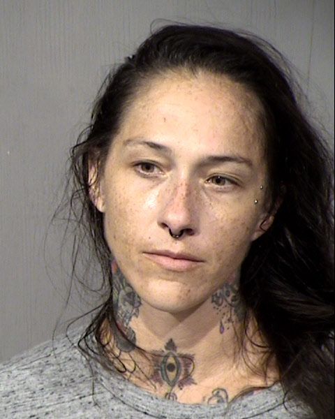 Sarah Ashley Hall Mugshot / Maricopa County Arrests / Maricopa County Arizona