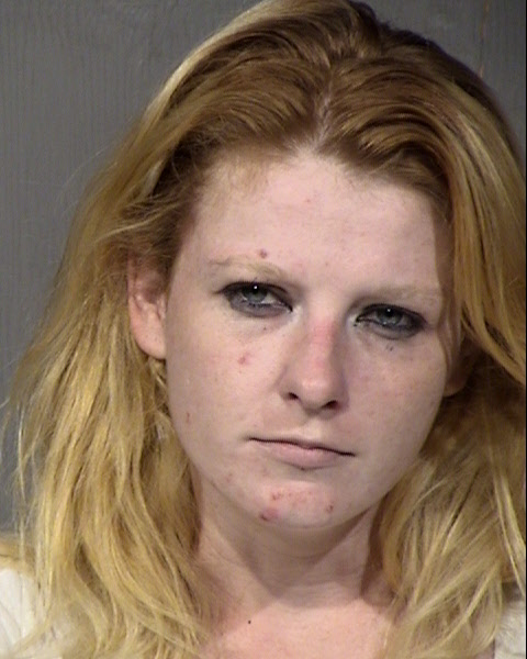 Lena Renee Carson Mugshot / Maricopa County Arrests / Maricopa County Arizona