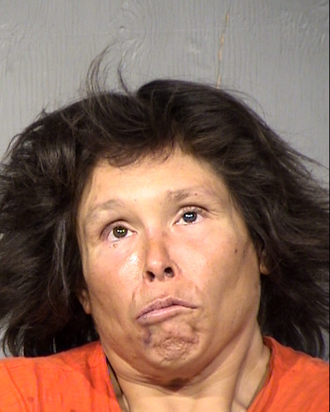 Bonnie Lee Loreto Mugshot / Maricopa County Arrests / Maricopa County Arizona
