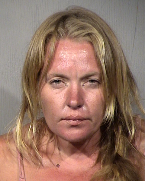 Christina Marie Fisher Mugshot / Maricopa County Arrests / Maricopa County Arizona