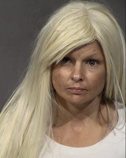 Sarah Lee Johnston Mugshot / Maricopa County Arrests / Maricopa County Arizona