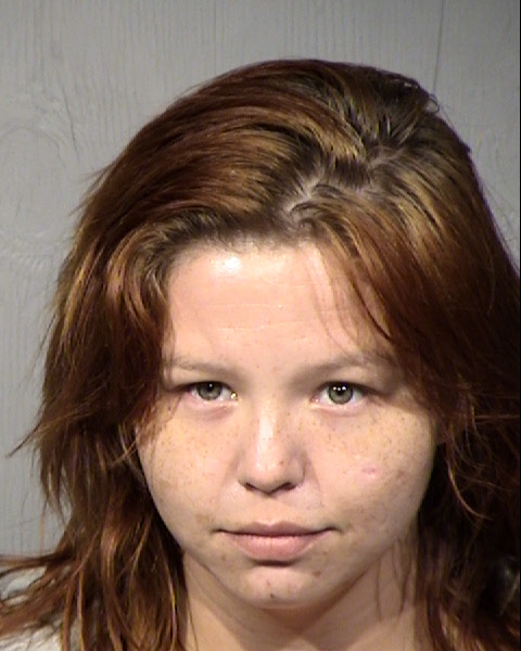 Lindsey Ryan Mitchell Mugshot / Maricopa County Arrests / Maricopa County Arizona