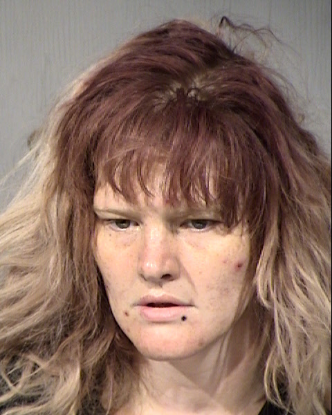 Heather Page Pyatt Mugshot / Maricopa County Arrests / Maricopa County Arizona