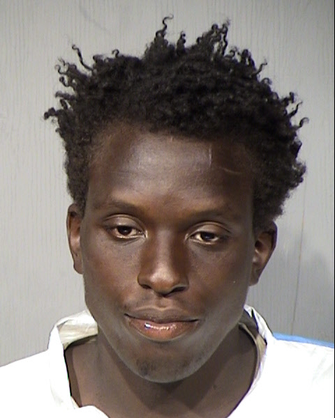 Isaiah Joel Fleming Mugshot / Maricopa County Arrests / Maricopa County Arizona