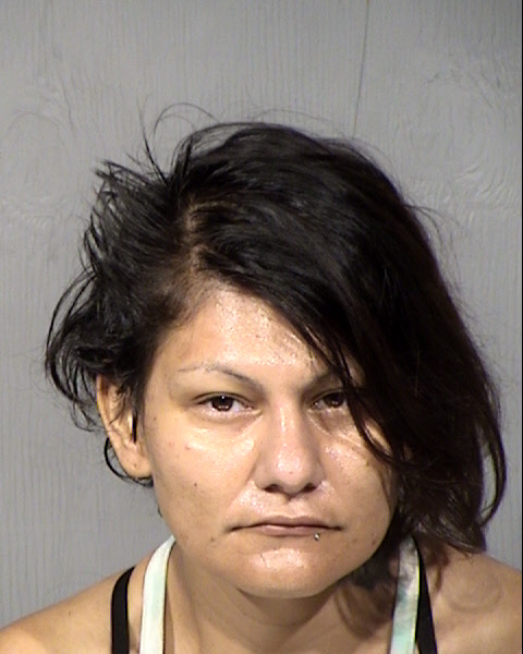 Laurie Simmons Mugshot / Maricopa County Arrests / Maricopa County Arizona
