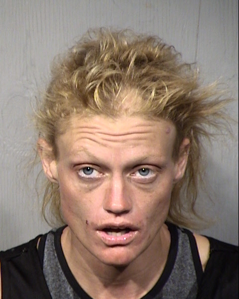 Saundra Denise Gill Mugshot / Maricopa County Arrests / Maricopa County Arizona