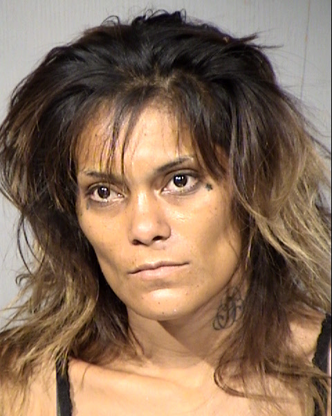 Michelle Ann Barraza Mugshot / Maricopa County Arrests / Maricopa County Arizona