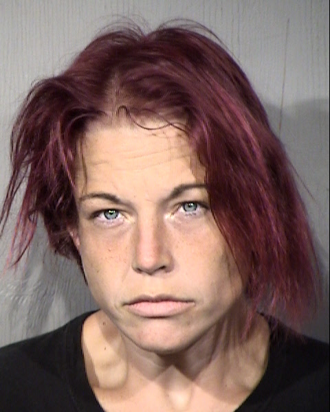 Sydney Elizabeth Logan Mugshot / Maricopa County Arrests / Maricopa County Arizona