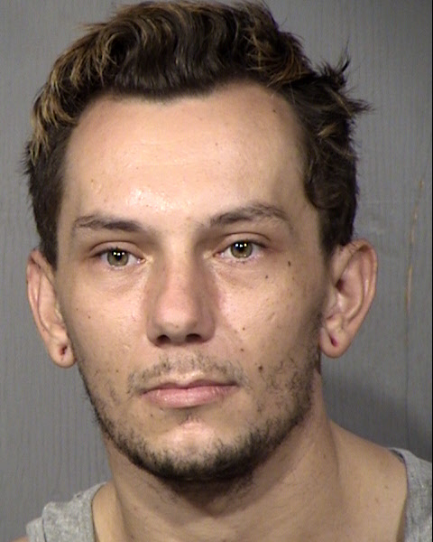 Harley Tripp Robinson Mugshot / Maricopa County Arrests / Maricopa County Arizona