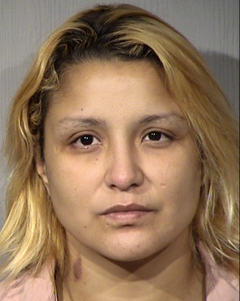 Rosa Viviana Ibarra Rascon Mugshot / Maricopa County Arrests / Maricopa County Arizona