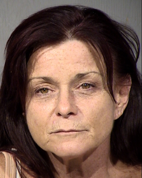 Carolyn Healy Steel Mugshot / Maricopa County Arrests / Maricopa County Arizona