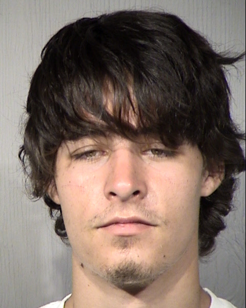 Harley James Vandeman Mugshot / Maricopa County Arrests / Maricopa County Arizona