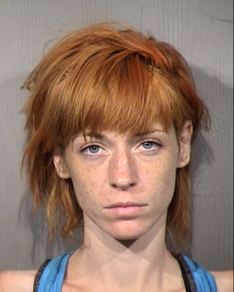 Erin Chelsea Cleland Mugshot / Maricopa County Arrests / Maricopa County Arizona