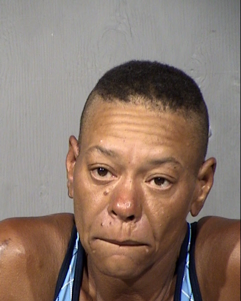 Andrena J Snyder Mugshot / Maricopa County Arrests / Maricopa County Arizona