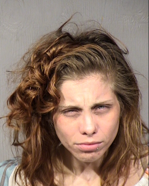 Mary Colleen Mallaire Mugshot / Maricopa County Arrests / Maricopa County Arizona