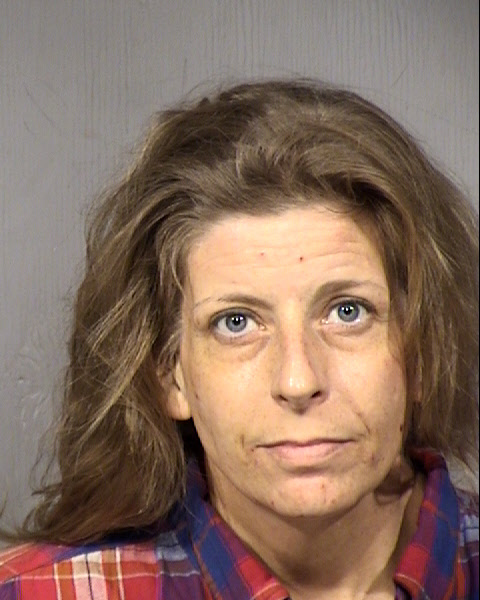 Robyn Lynn Mendel Mugshot / Maricopa County Arrests / Maricopa County Arizona