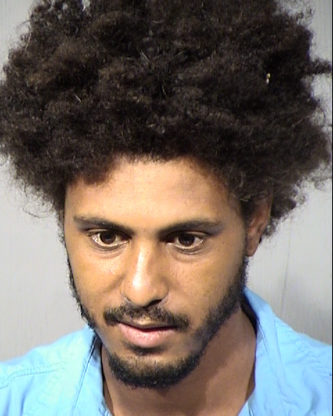 Timothy Julius Hardemann Mugshot / Maricopa County Arrests / Maricopa County Arizona
